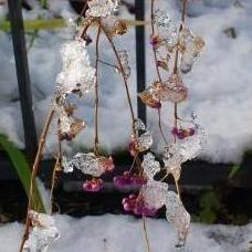 DSC_0440 - コピー.JPG